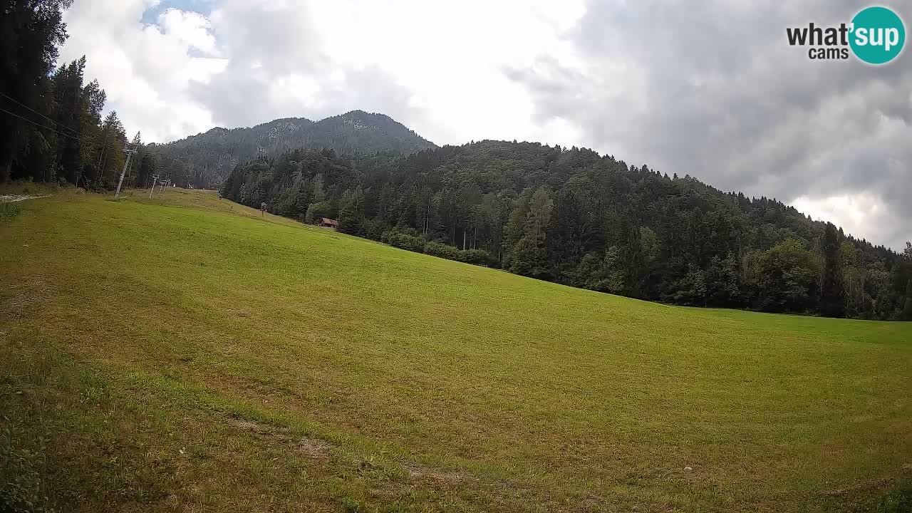 Kranjska Gora Station de ski | Brsnina
