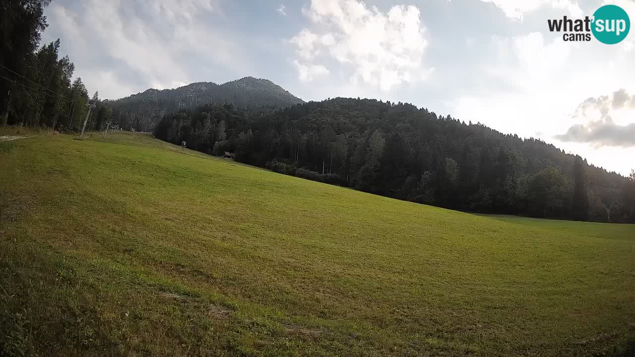 Comprensorio sciistico Kranjska Gora | Brsnina