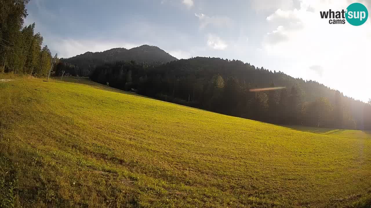 RTC Skigebiet Kranjska Gora | Brsnina