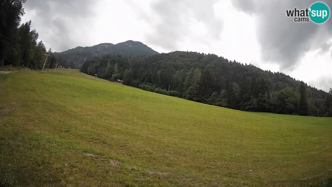Ski Kranjska Gora | Brsnina