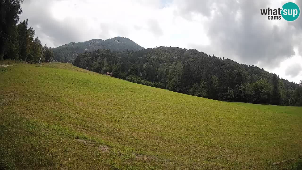RTC Skigebiet Kranjska Gora | Brsnina