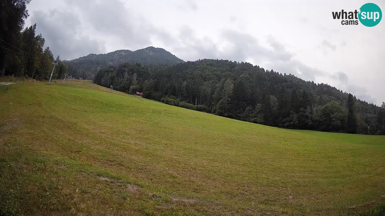 Ski Kranjska Gora | Brsnina