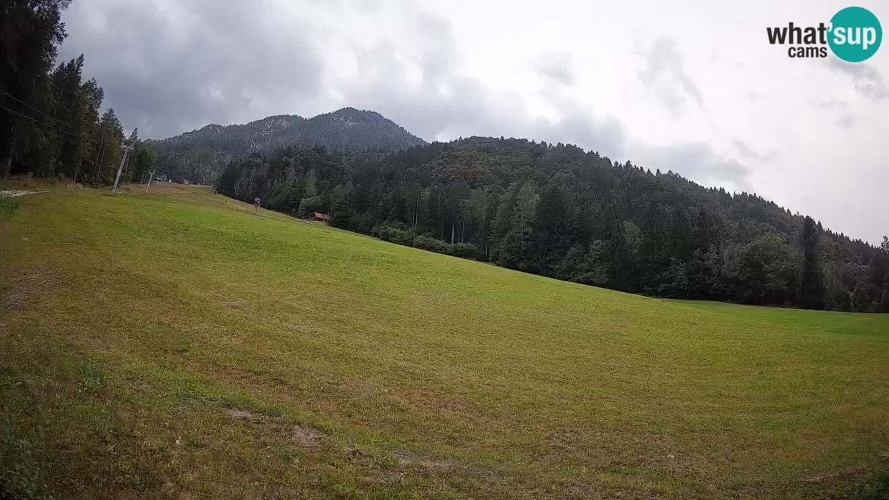 Kranjska Gora Station de ski | Brsnina