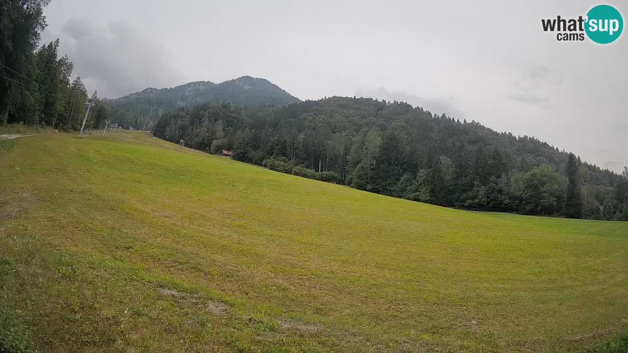 RTC Skigebiet Kranjska Gora | Brsnina