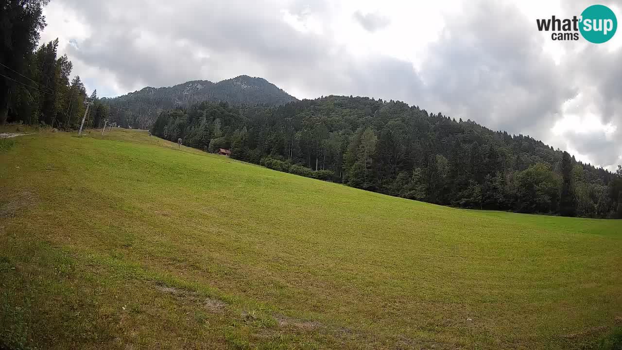 RTC Skigebiet Kranjska Gora | Brsnina