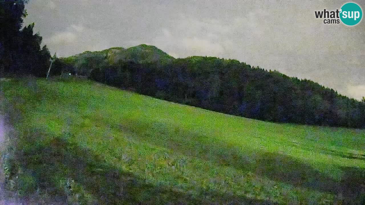RTC Skigebiet Kranjska Gora | Brsnina