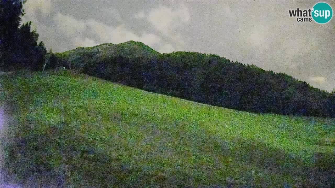 Ski Kranjska Gora | Brsnina