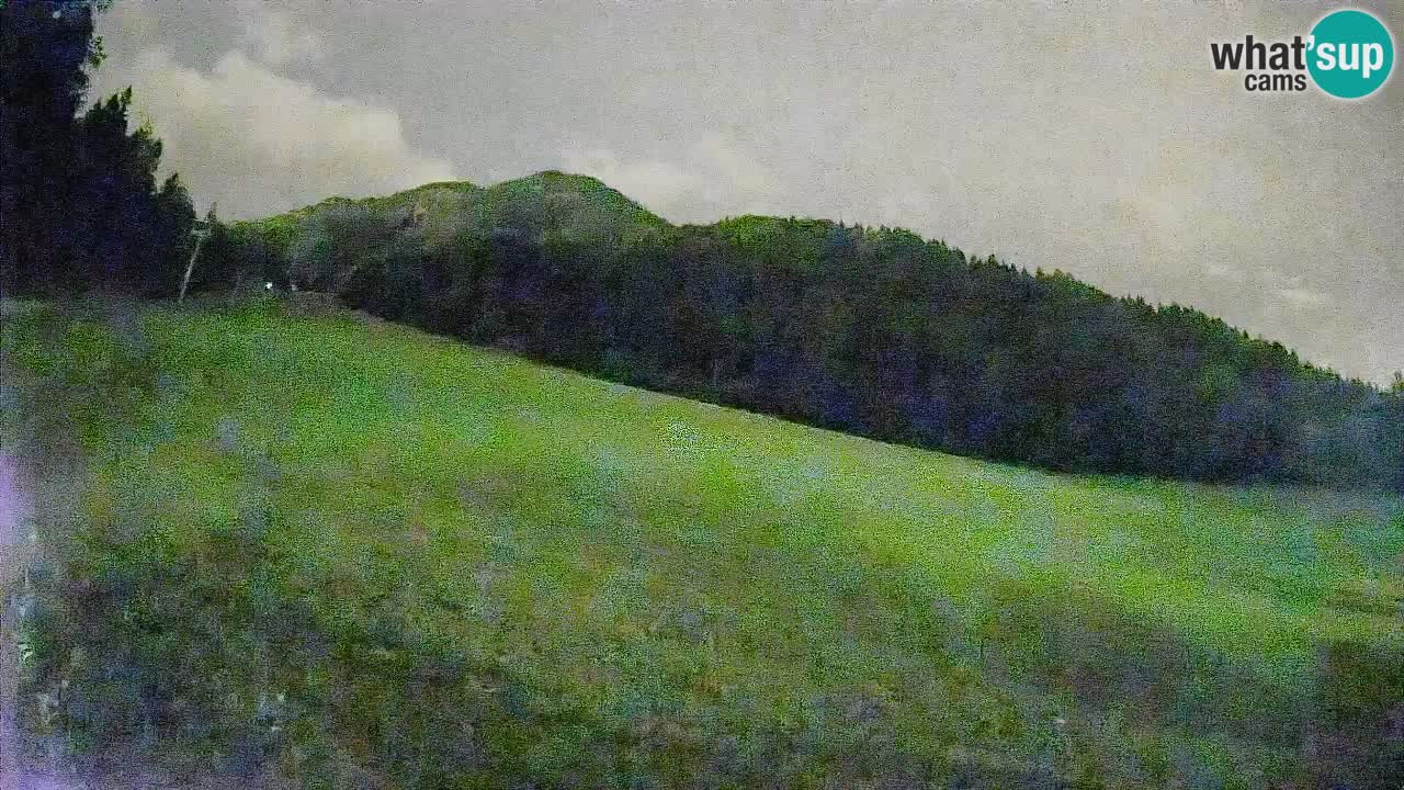 Esquí Kranjska Gora | Brsnina