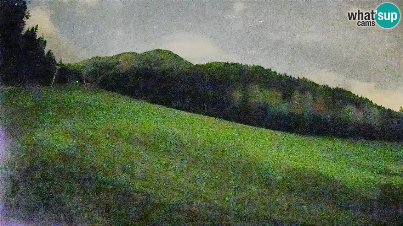 RTC Kranjska Gora | Brsnina