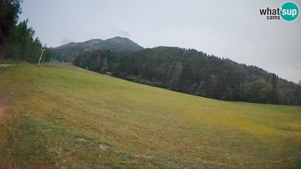 RTC Skigebiet Kranjska Gora | Brsnina