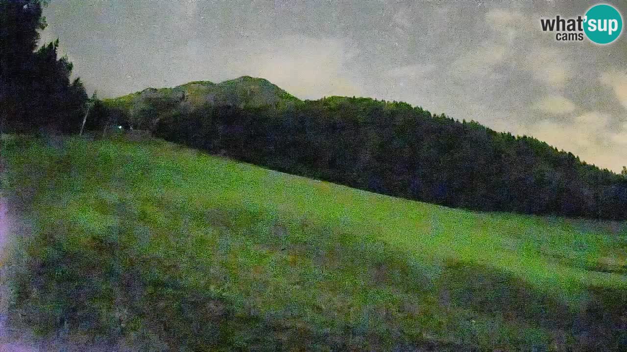 Kranjska Gora SKIJANJE | Brsnina