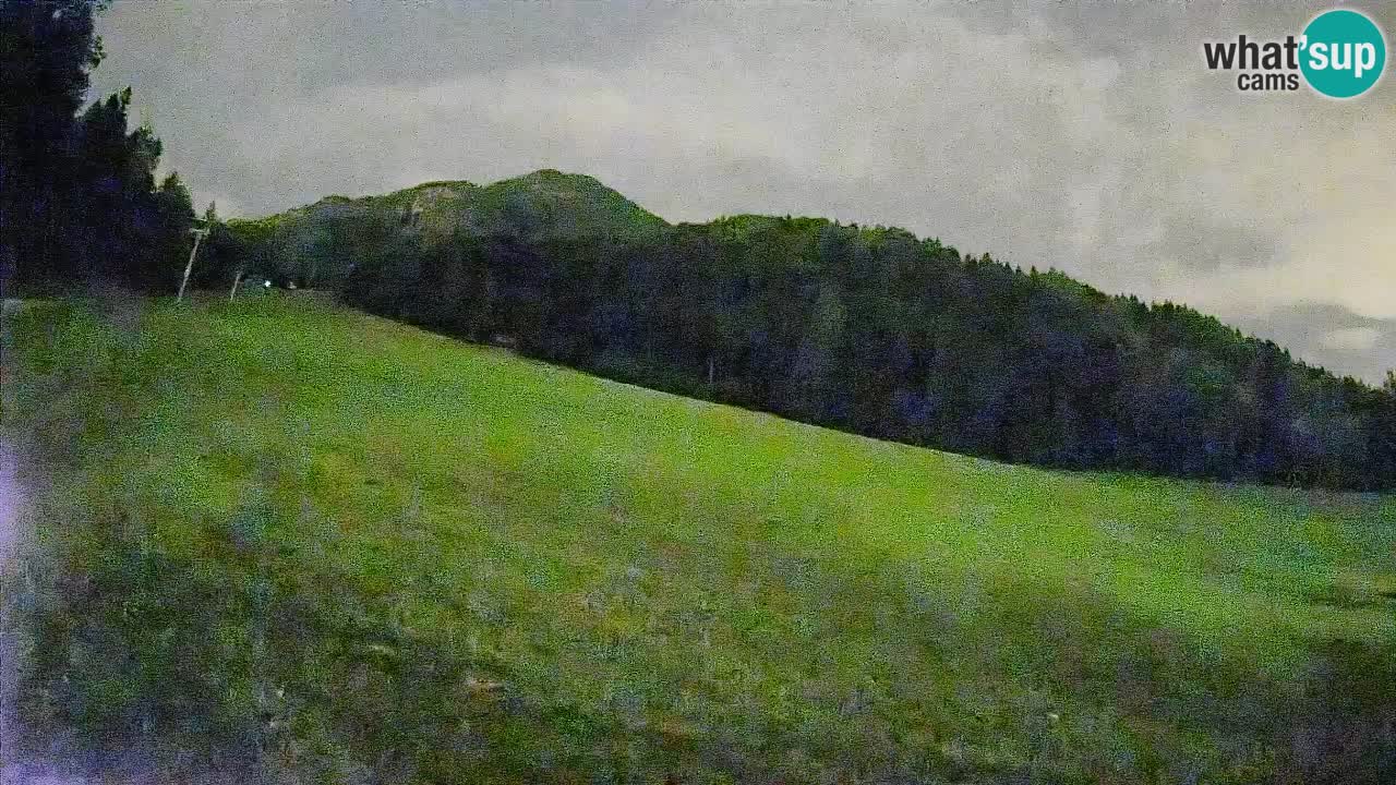 Esquí Kranjska Gora | Brsnina