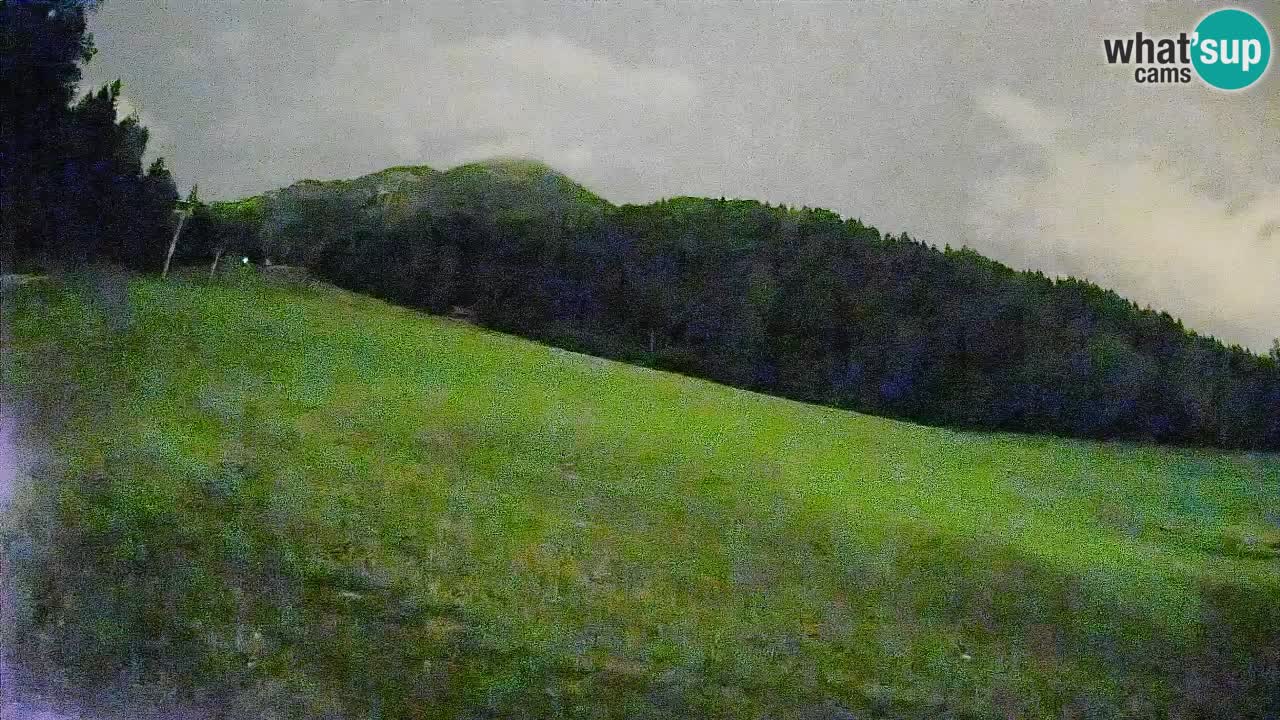 RTC Kranjska Gora | Brsnina