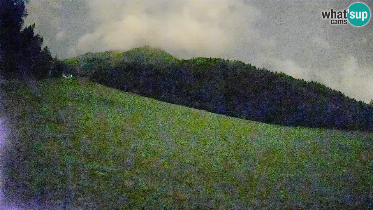 Comprensorio sciistico Kranjska Gora | Brsnina
