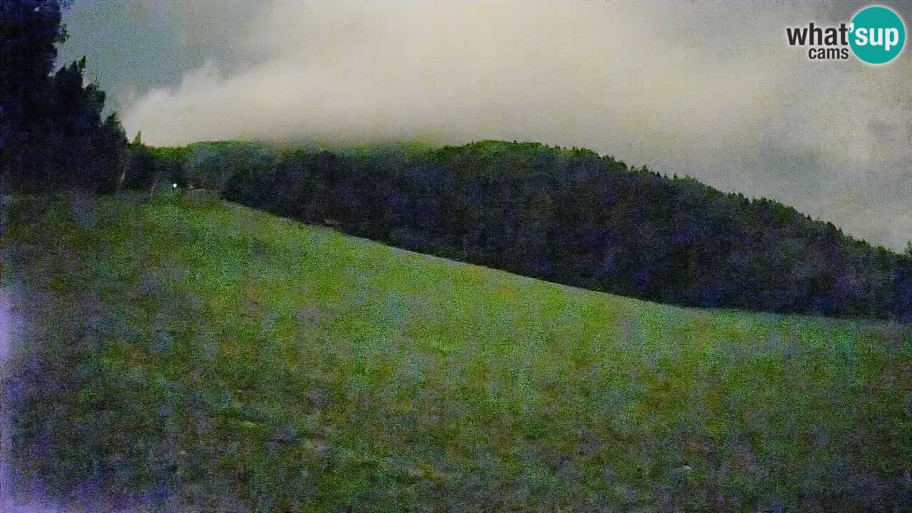 Ski Kranjska Gora | Brsnina