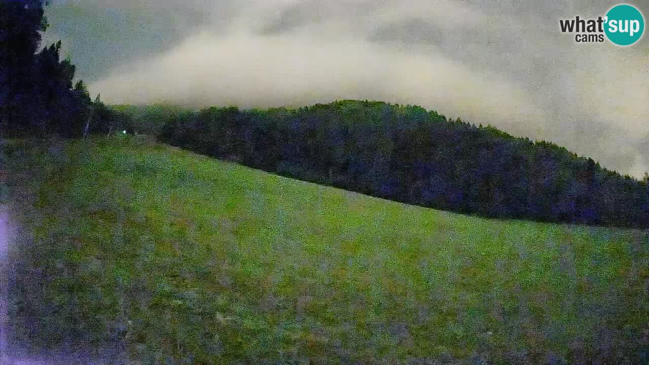 Ski Kranjska Gora | Brsnina