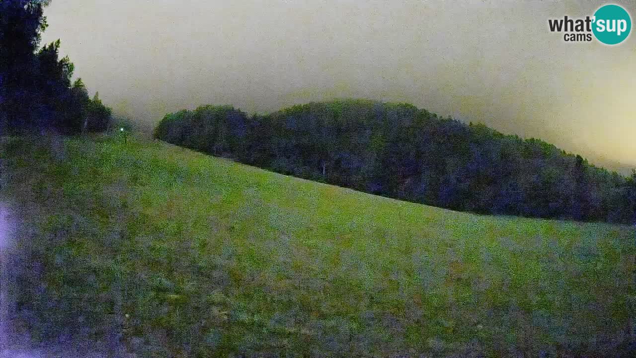 RTC Kranjska Gora | Brsnina