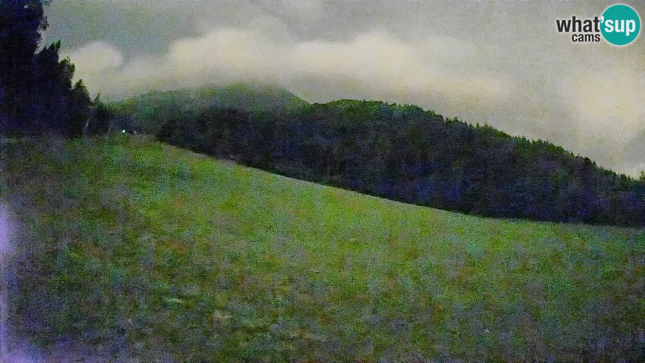 Ski Kranjska Gora | Brsnina
