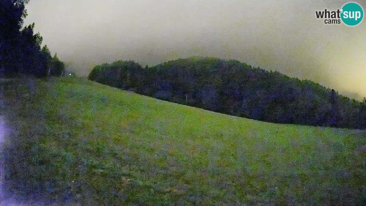 Ski Kranjska Gora | Brsnina