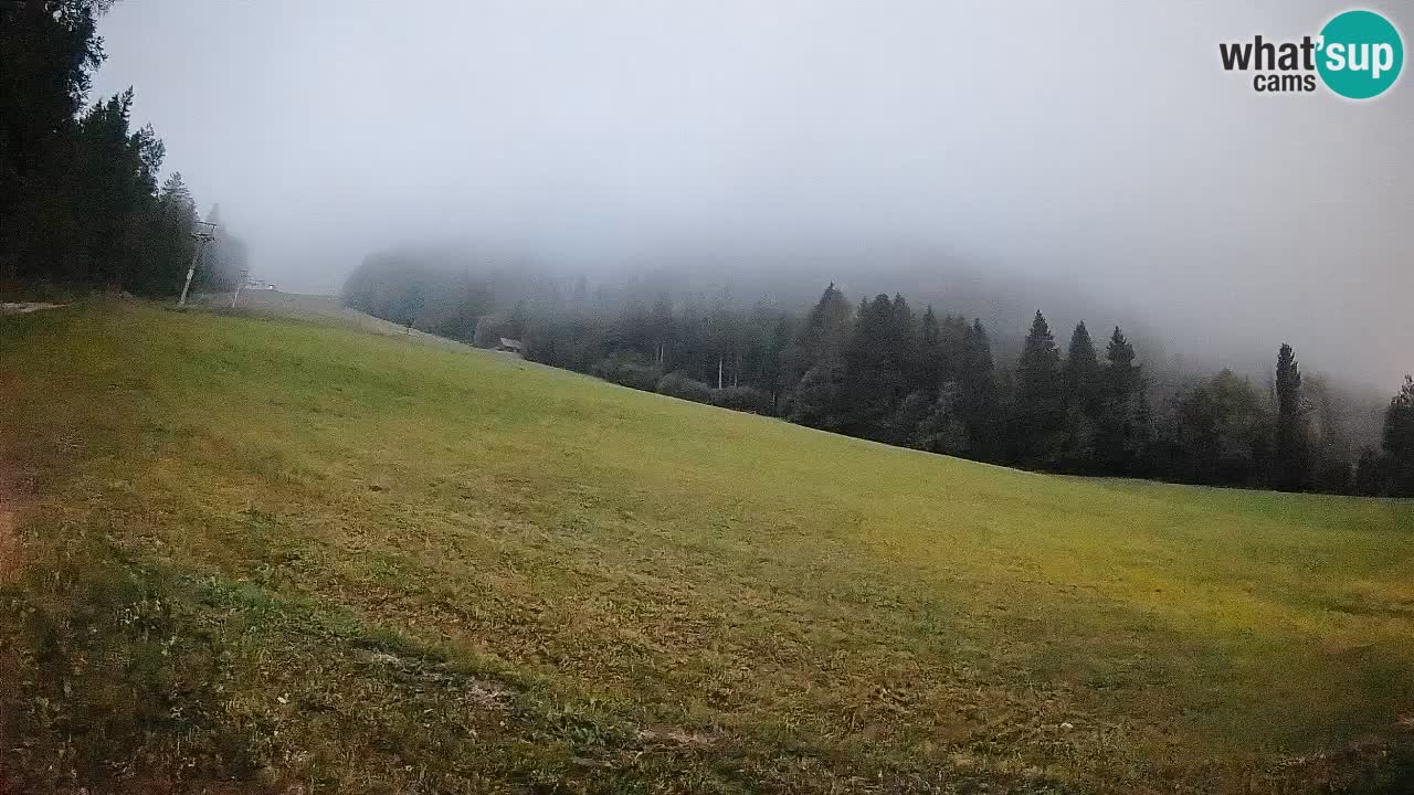 Ski Kranjska Gora | Brsnina