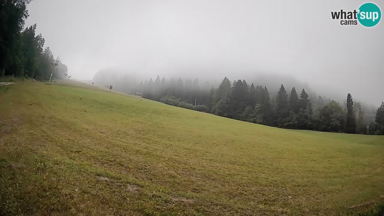 RTC Kranjska Gora | Brsnina