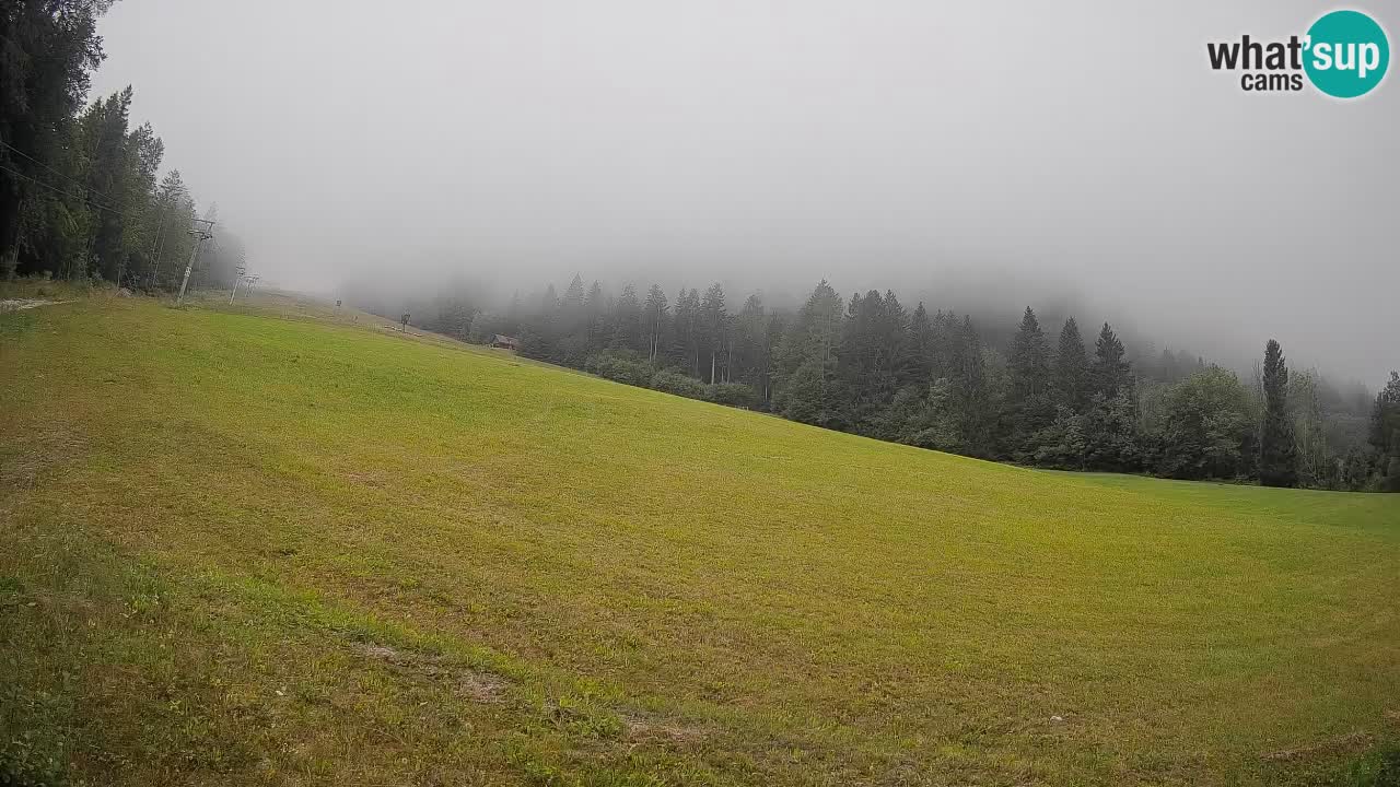 Kranjska Gora SKIJANJE | Brsnina