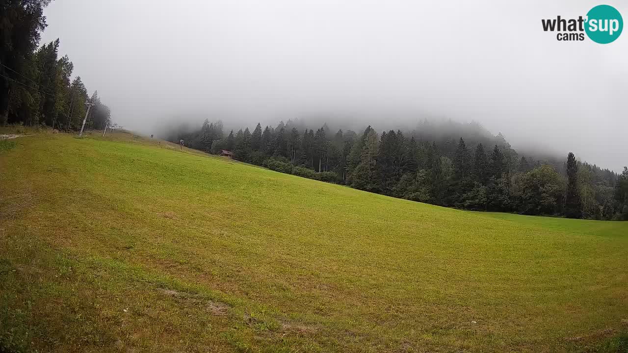 RTC Kranjska Gora | Brsnina