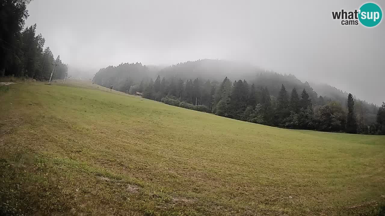 RTC Skigebiet Kranjska Gora | Brsnina