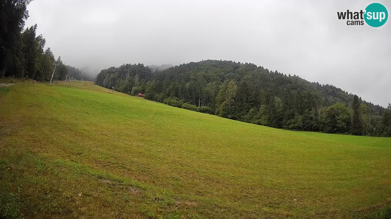 Ski Kranjska Gora | Brsnina