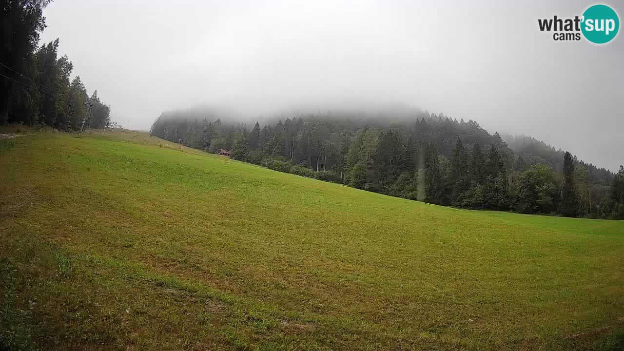 Kranjska Gora Station de ski | Brsnina