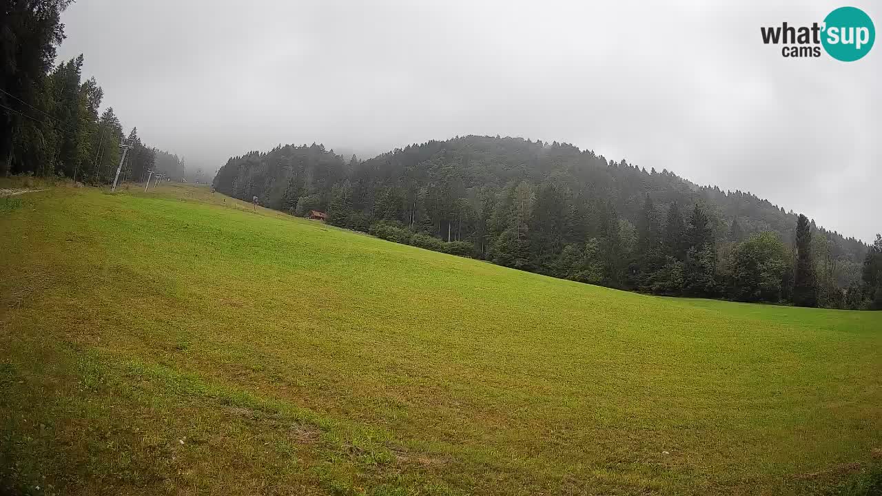 Kranjska Gora Station de ski | Brsnina