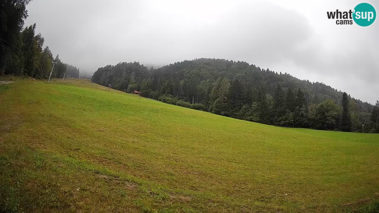 Esquí Kranjska Gora | Brsnina