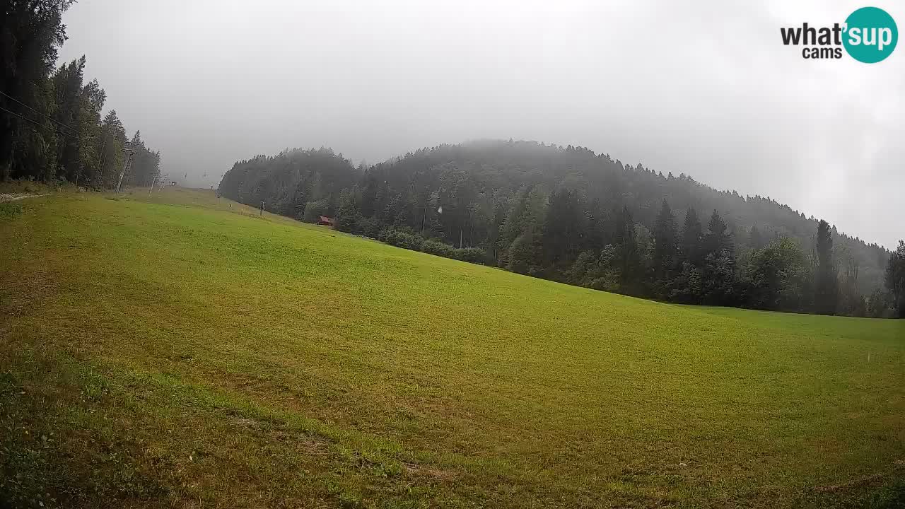 Esquí Kranjska Gora | Brsnina