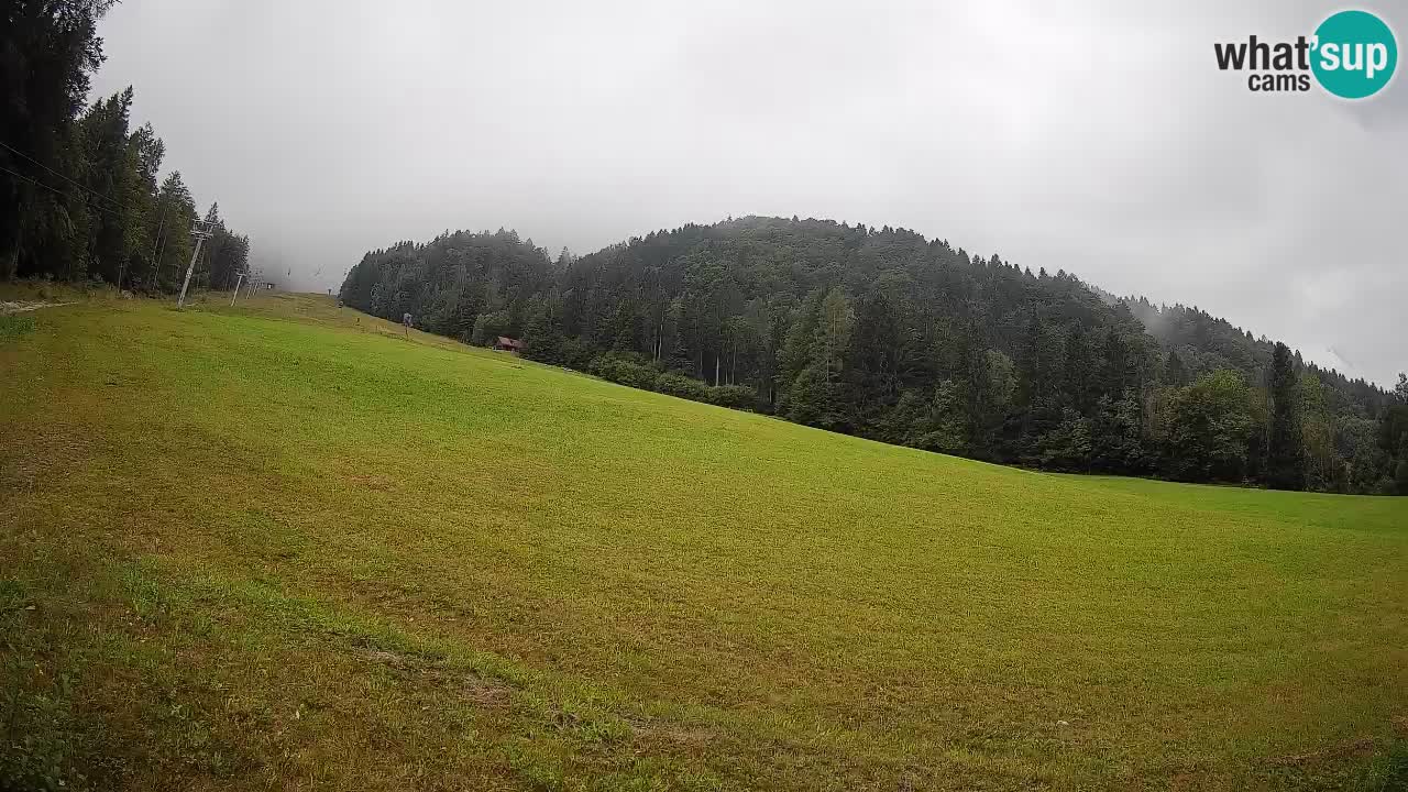 RTC Kranjska Gora | Brsnina