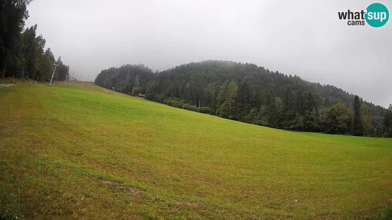 RTC Skigebiet Kranjska Gora | Brsnina