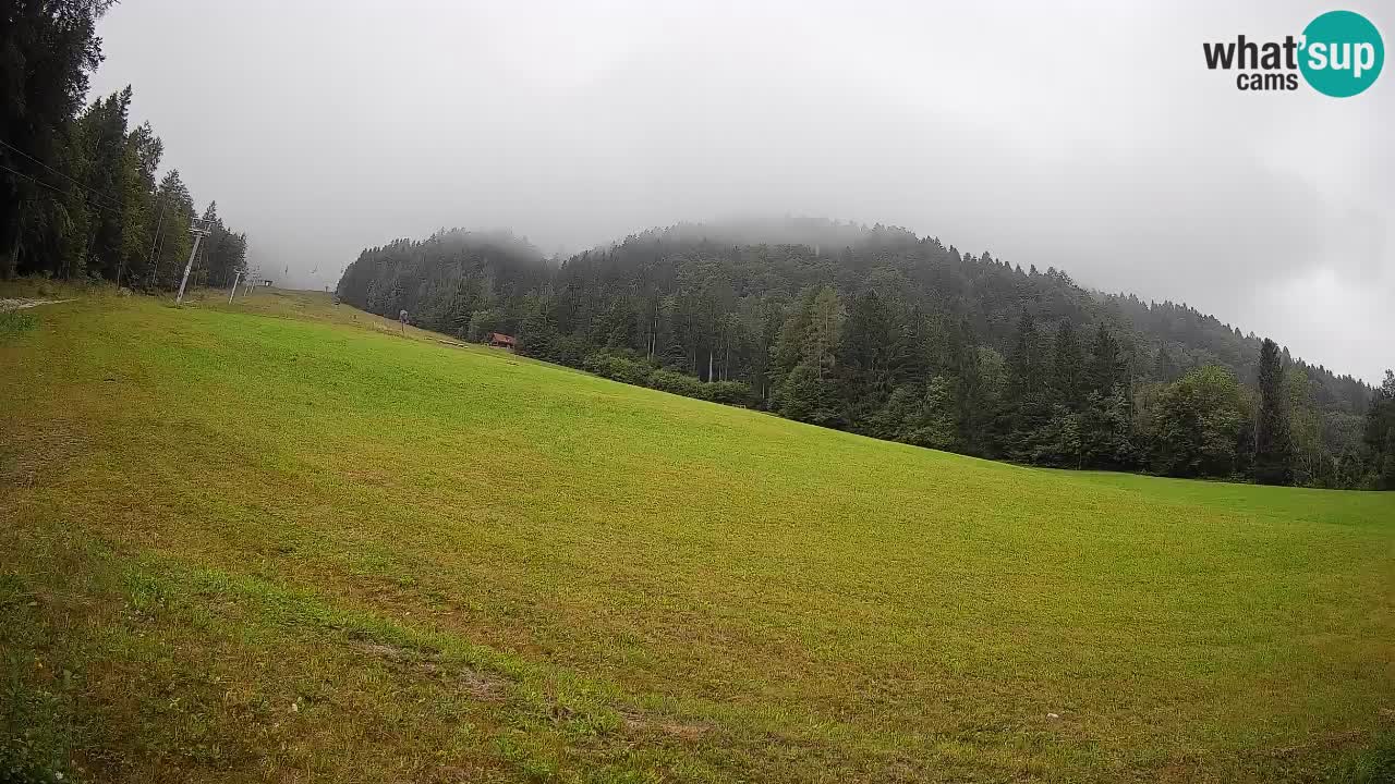 RTC Skigebiet Kranjska Gora | Brsnina