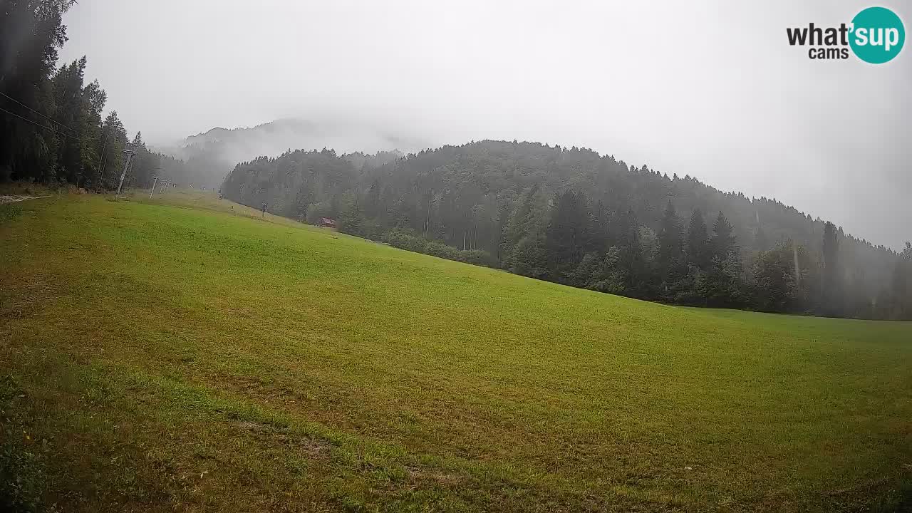 Comprensorio sciistico Kranjska Gora | Brsnina