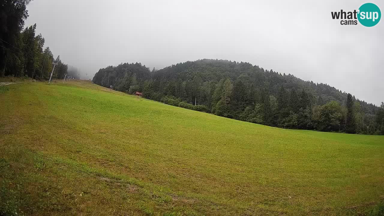Kranjska Gora Station de ski | Brsnina