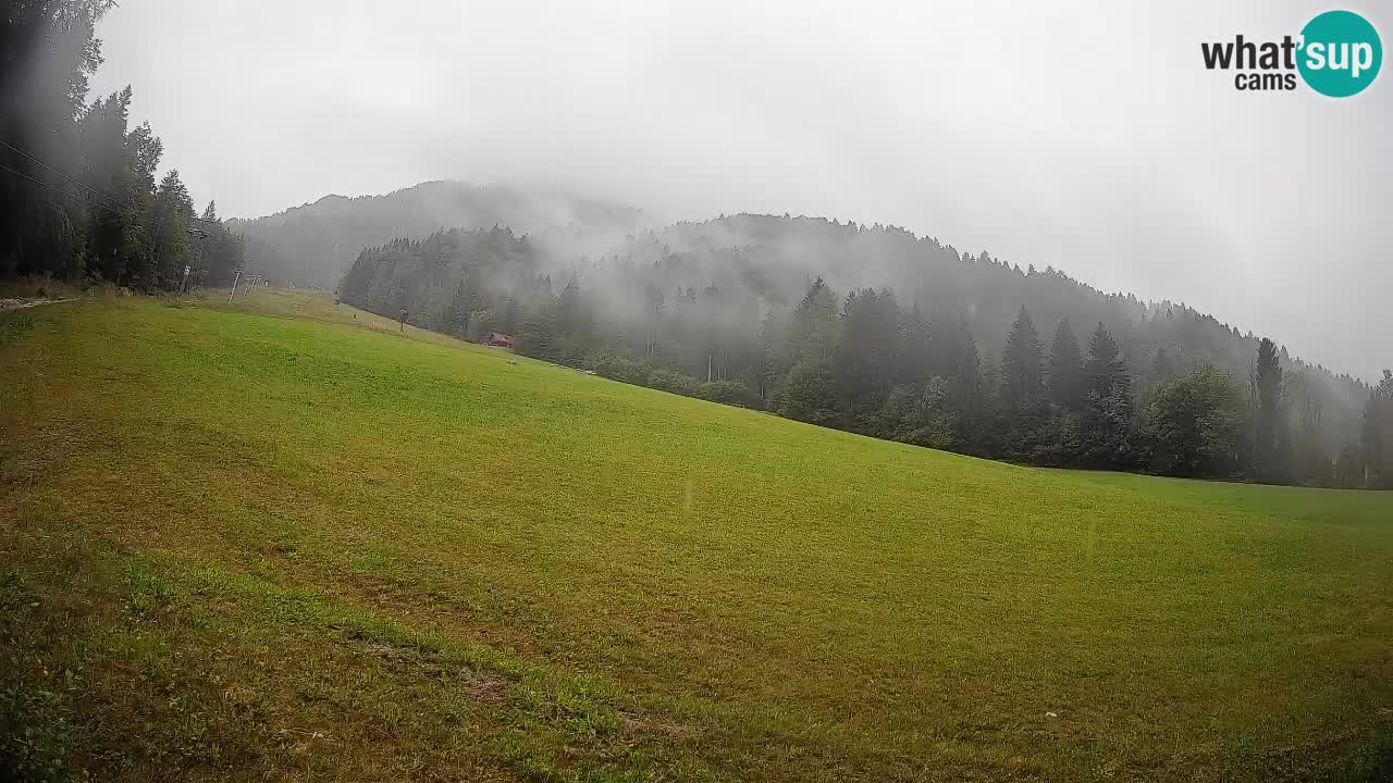 RTC Skigebiet Kranjska Gora | Brsnina
