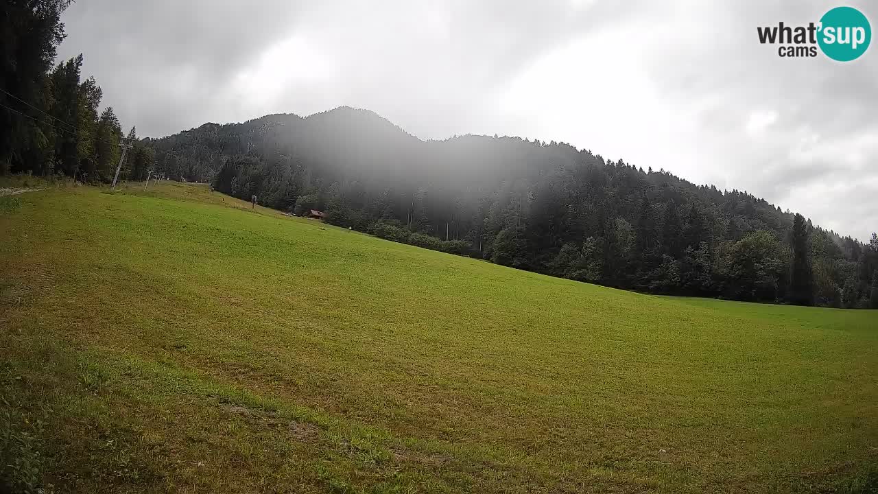 Comprensorio sciistico Kranjska Gora | Brsnina