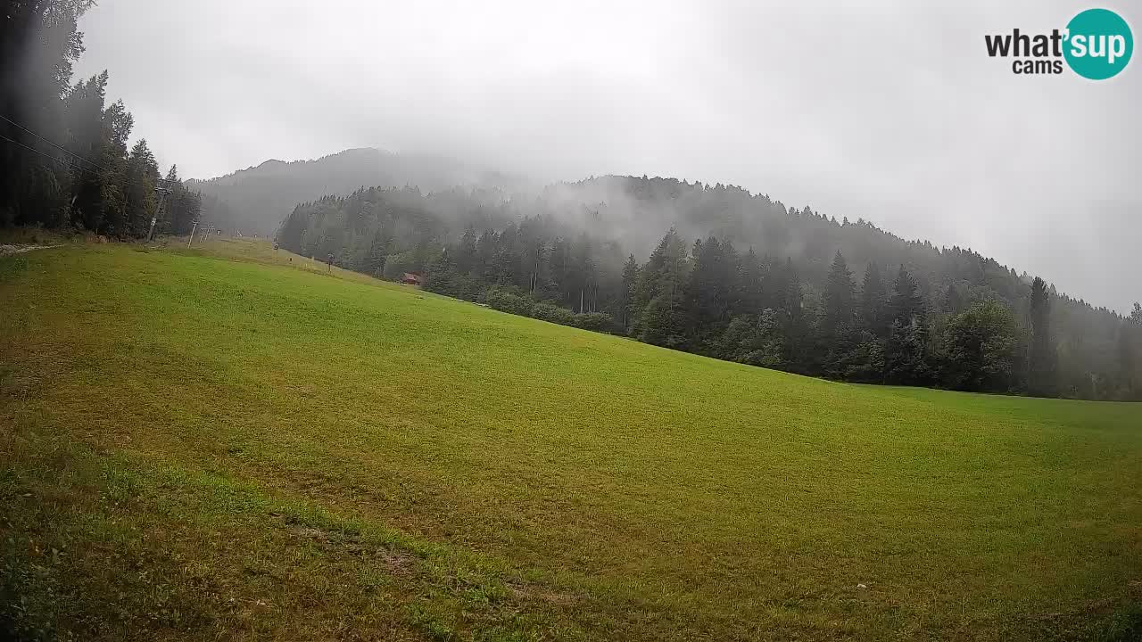 Comprensorio sciistico Kranjska Gora | Brsnina