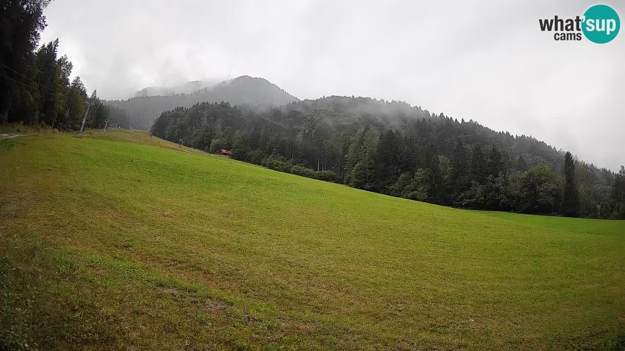 RTC Skigebiet Kranjska Gora | Brsnina