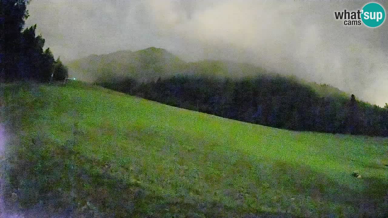 RTC Skigebiet Kranjska Gora | Brsnina