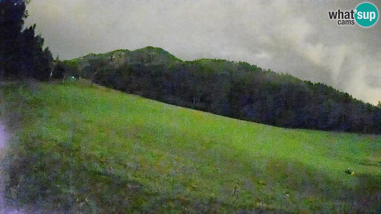 Comprensorio sciistico Kranjska Gora | Brsnina