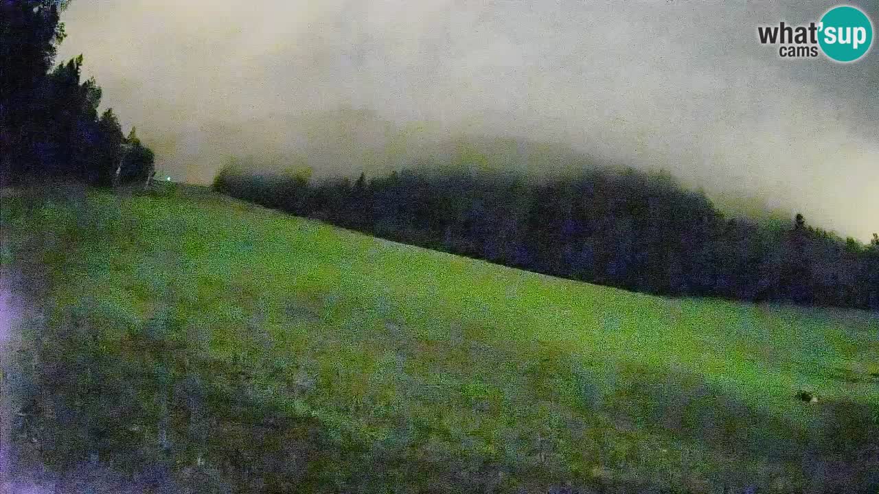 Comprensorio sciistico Kranjska Gora | Brsnina