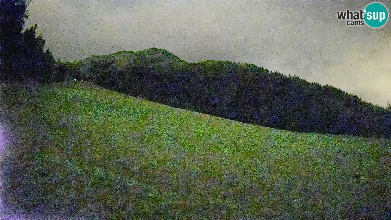 Comprensorio sciistico Kranjska Gora | Brsnina
