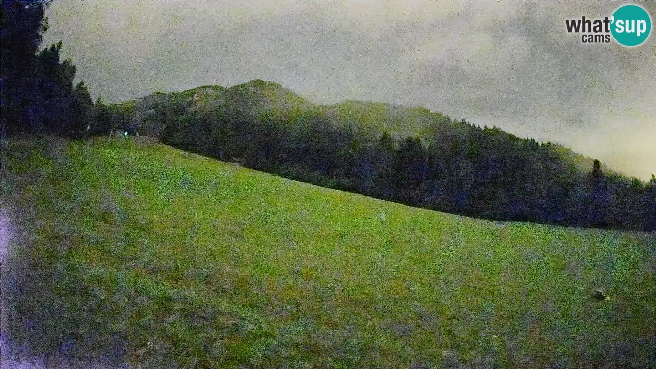 Comprensorio sciistico Kranjska Gora | Brsnina