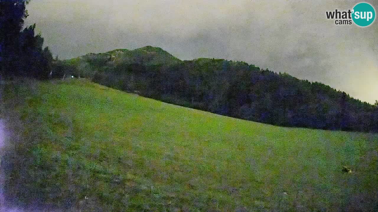 Ski Kranjska Gora | Brsnina