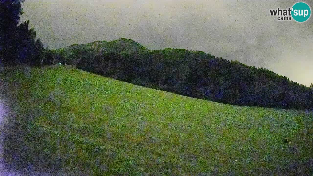 Kranjska Gora SKIJANJE | Brsnina