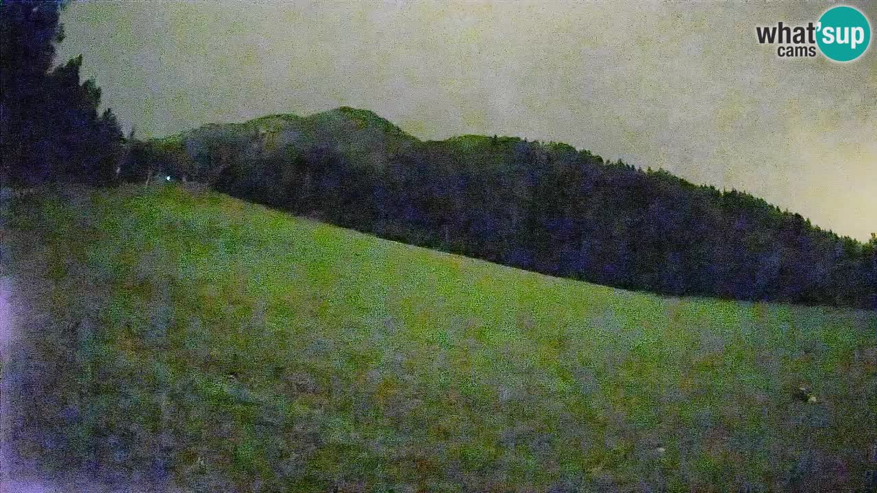 Kranjska Gora SKIJANJE | Brsnina